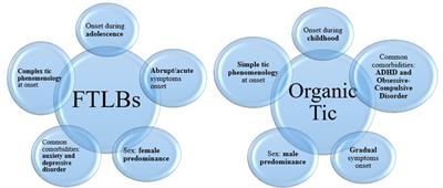 Functional tic-like behaviours during the COVID-19 pandemic: Follow-up over 12 months